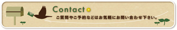 ご質問やご予約などはお気軽にお問合せ下さい。