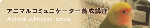 アニマルコミュニケーター養成講座