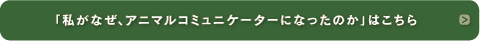 「私がなぜ、アニマルコミュニケーターになったのか」はこちら